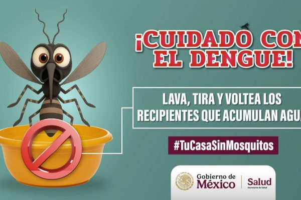 Cuidado con el Dengue!
