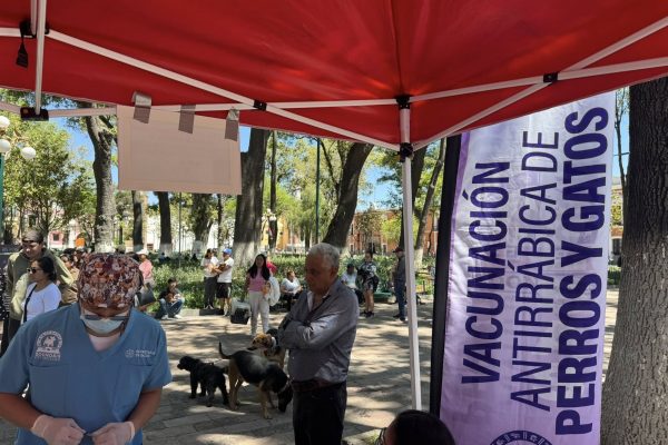 La Secretaria de Salud del Estado de Tlaxcala en conjunto con el H.Ayuntamiento de Tlaxcala, realizan la jornada gratuita de esterilización